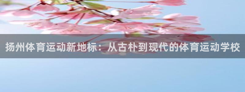 公海赌赌船官网下载平台注册要钱吗：扬州体育运动新地标