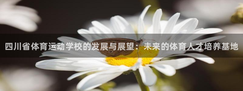 公海赌赌船官方正版app官网