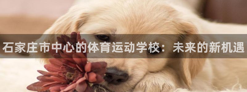 公海赌赌船官方正版app集团官网首页网址：石家庄市中