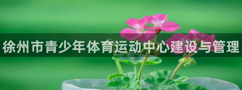 公海赌赌船官方正版app神州：徐州市青少年体育运动中