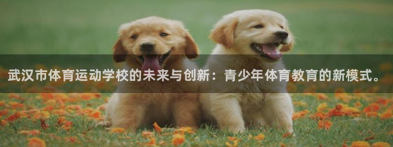 公海赌赌船官网下载平台注册要钱吗安全吗：武汉市体育运