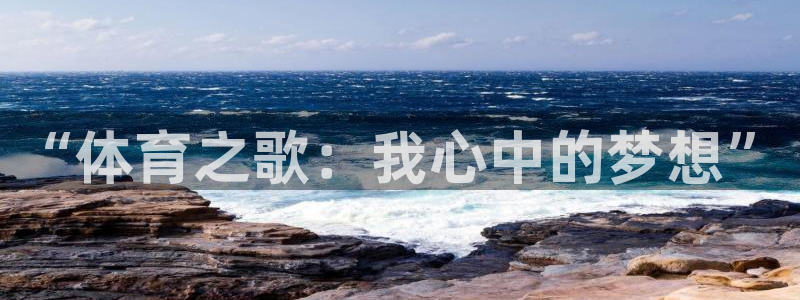 公海赌赌船官方正版app新能源