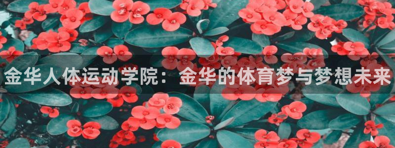 公海赌赌船官方正版app新能源：金华人体运动学院：金华的体育
