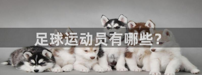 公海赌赌船官网下载是干嘛的公司：足球运动员有哪些？