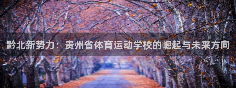 公海赌赌船官网下载平台是正规平台吗：黔北新势力：贵州
