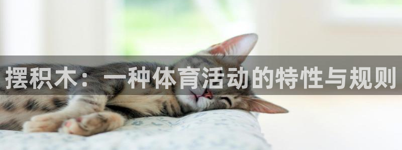 公海赌赌船官网下载招商电话：摆积木：一种体育活动的特