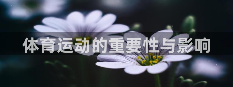 公海赌赌船官网下载招商电话号码：体育运动的重要性与影