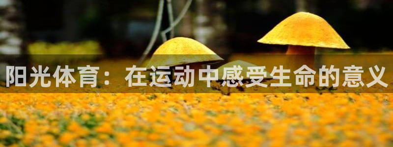 公海赌赌船官方正版app集团官网网址：阳光体育：在运