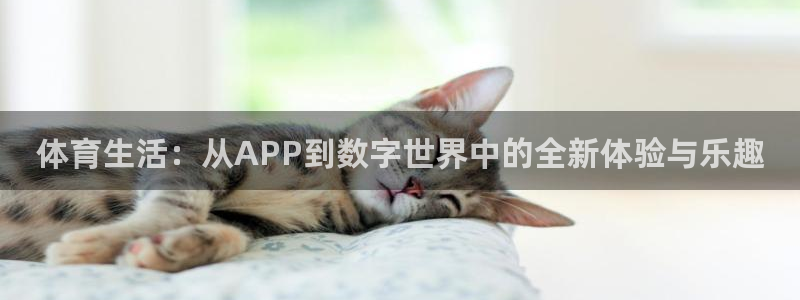 公海赌赌船官网下载平台APP：体育生活：从APP到数