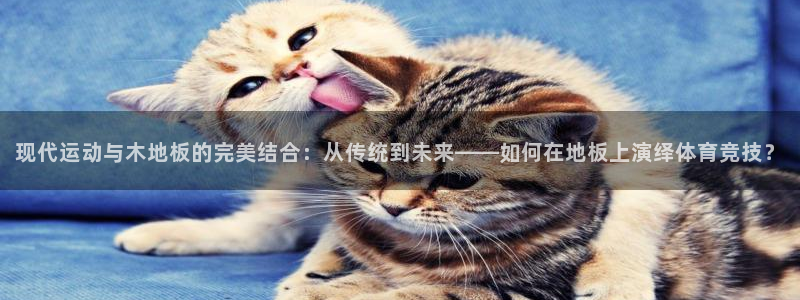 公海赌赌船官网下载软件：现代运动与木地板的完美结合：