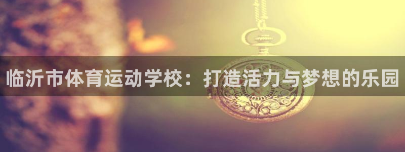 公海赌赌船官网下载招商电话地址：临沂市体育运动学校：