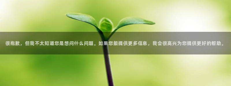 公海赌赌船官方正版app新能源：很抱歉，但我不太知道
