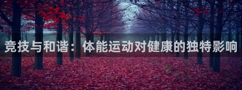 公海赌赌船官网下载平台注册流程图：竞技与和谐：体能运