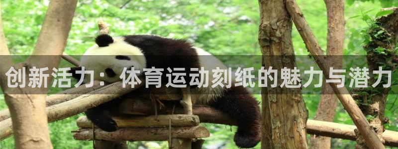 公海赌赌船官网下载娱乐：创新活力：体育运动刻纸的魅力与潜力