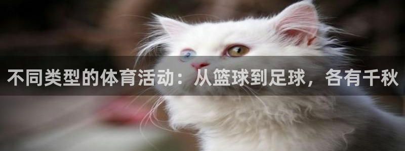 公海赌赌船官方正版app娱乐：不同类型的体育活动：从篮球到足