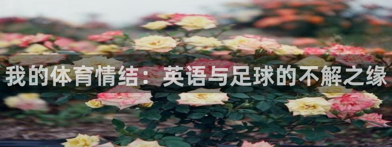 公海赌赌船官方正版app集团官网首页