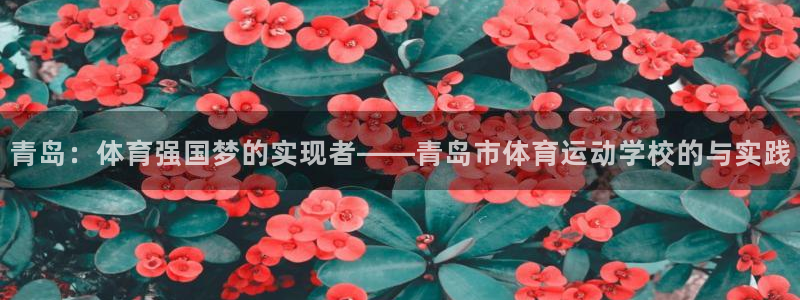 公海赌赌船官方正版app娱乐：青岛：体育强国梦的实现