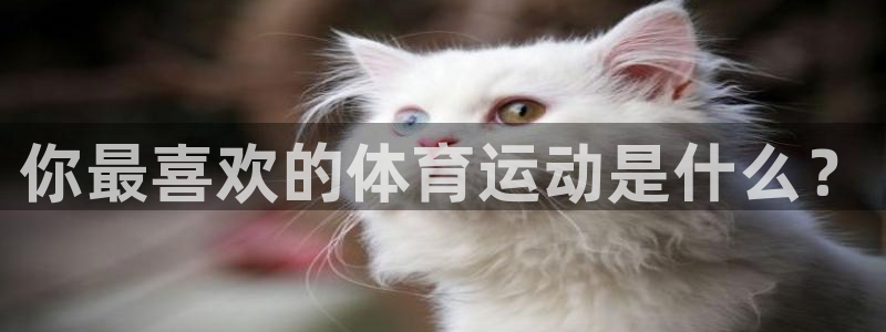 公海赌赌船官网下载招商电话地址是多少：你最喜欢的体育