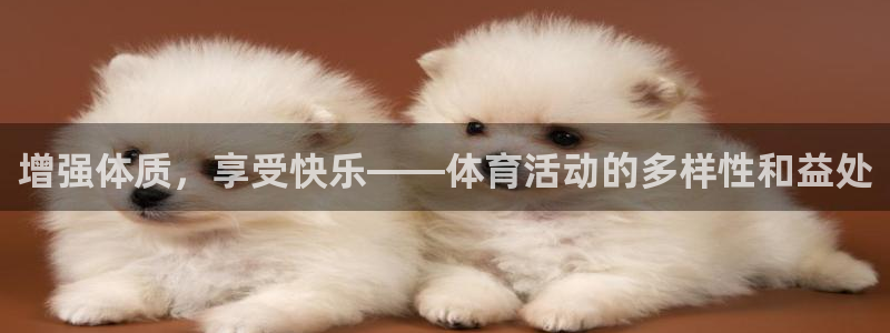 公海赌赌船官方平台体育