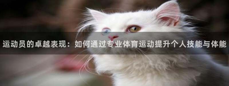 公海赌赌船官方正版app娱乐40996：运动员的卓越表现：如