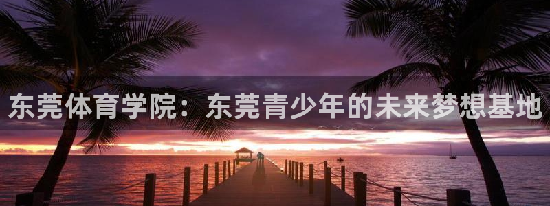 公海赌赌船官网下载注册：东莞体育学院：东莞青少年的未