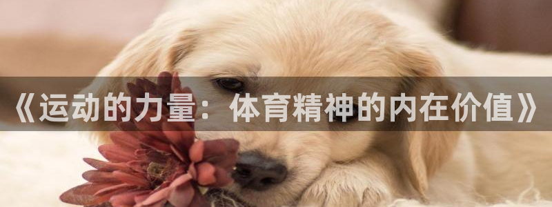 公海赌赌船官网下载平台注册要钱吗安全吗：《运动的力量：体育精