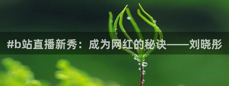 nba直播360低调看直播