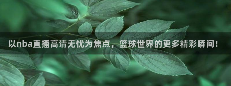 360体育在线直播免费：以nba直播高清无忧为焦点，篮球世界的更多精彩瞬间！