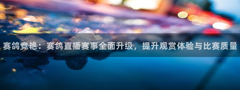 nba直播360乐球直播：赛鸽竞艳：赛鸽直播赛事全面升级，提升观赏体验与比赛质量