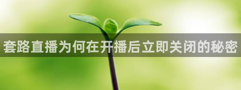 360直播体育赛事直播在线观看：套路直播为何在开播后立即关闭的秘密