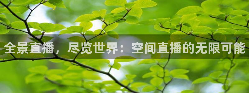 360看球直播在线直播：全景直播，尽览世界：空间直播的无限可能