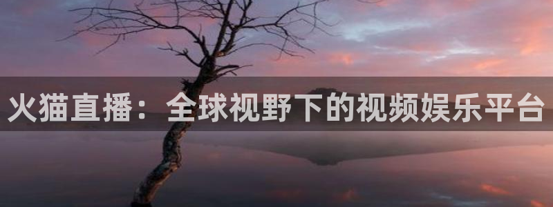 360体育直播足球直播手机版：火猫直播：全球视野下的视频娱乐平台