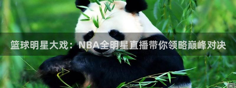 360直播jrs直播：篮球明星大戏：NBA全明星直播带你领略巅峰对决