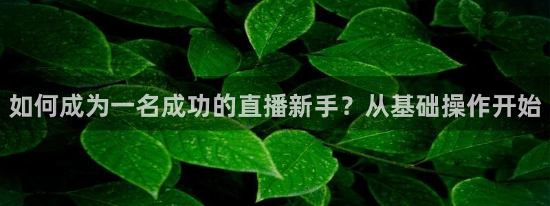 360直播无插件免费观看nba：如何成为一名成功的直播新手？从基础操作开始