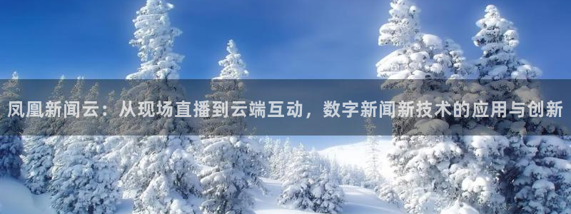 雨燕360直播高清nba：凤凰新闻云：从现场直播到云端互动，数字新闻新技术的应用与创新
